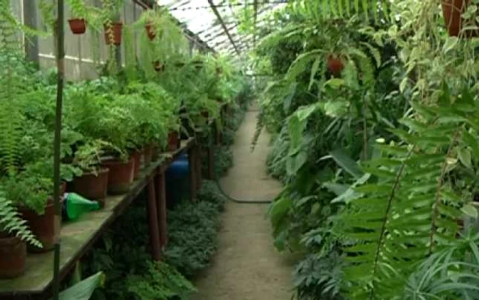 Gradina Botanica. FOTO ProTV
