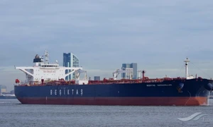 WhatsApp Image 2026 03 26 at 08 23 59 jpeg