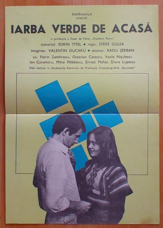 Sorin Titel a scris scenariul filmului „Iarba verde de acasă”, apărut în 1978
