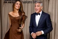 George Clooney  foto   Profimedia jpg