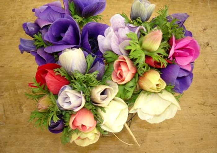 
    Dhaniel Nora ne-a dezvăluit cum alegem buchetul potrivit de flori   