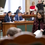 Gabriela Horga FB jpg