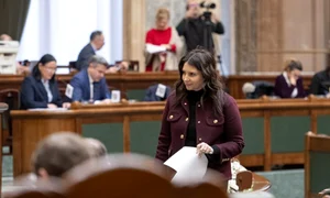 Gabriela Horga FB jpg