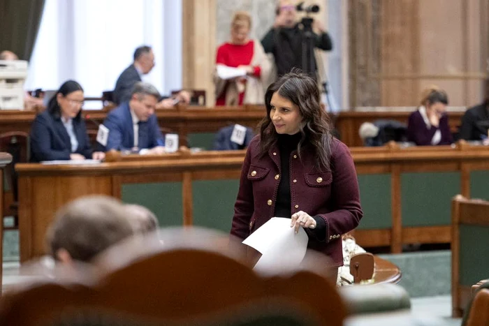 Gabriela Horga face o serie de acuzații la adresa PSD: FOTO FB Gabriela Horga