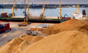 Export de cereale FOTO Shutterstock 