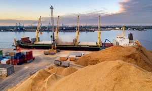 Export de cereale FOTO Shutterstock 