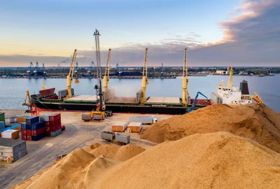 Export de cereale FOTO Shutterstock 