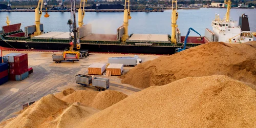 Export de cereale FOTO Shutterstock 