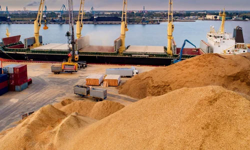 Export de cereale FOTO Shutterstock 