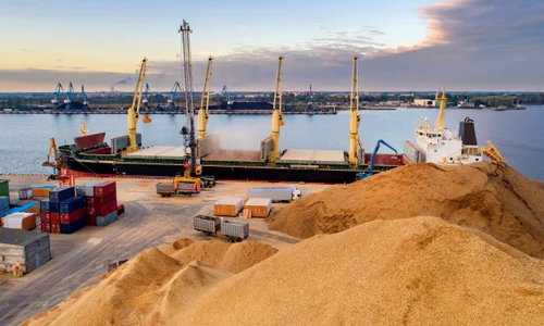 Export de cereale FOTO Shutterstock 