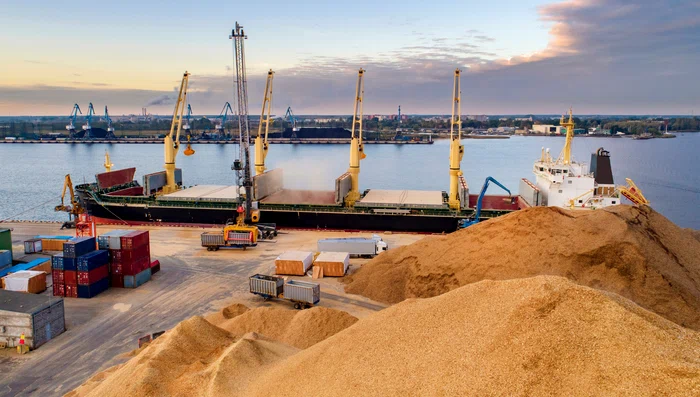 Export de cereale FOTO Shutterstock