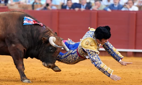 Morante de la Puebla, Profimedia (1) jpg