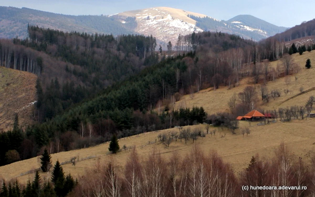 Satul Măgureni. Foto: Daniel Guţă. ADEVĂRUL