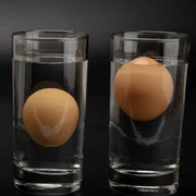 Screenshot 2026 04 08 145314 jpg