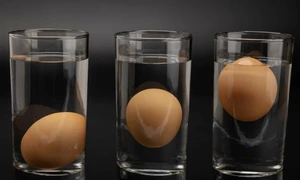 Screenshot 2026 04 08 145314 jpg