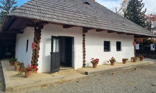 Casa din Humulesti jpg