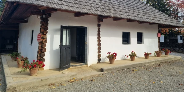 Casa din Humulesti jpg