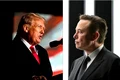 trump musk jpg