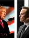 trump musk jpg