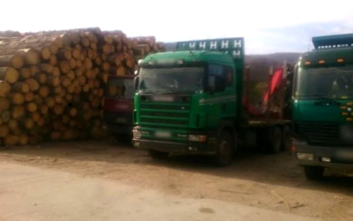 Anul curent, poliţiştii şi procurorii Parchetului de pe lângă Judecătoria Câmpulung, sprijiniţi de mascaţi, au descins la Ocolul Silvic privat Dragoslavele