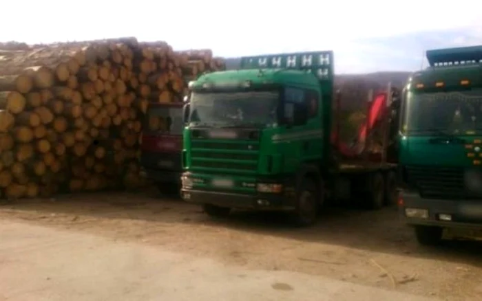 Anul trecut, poliţiştii şi procurorii Parchetului de pe lângă Judecătoria Câmpulung, sprijiniţi de mascaţi, au descins la Ocolul Silvic privat Dragoslavele