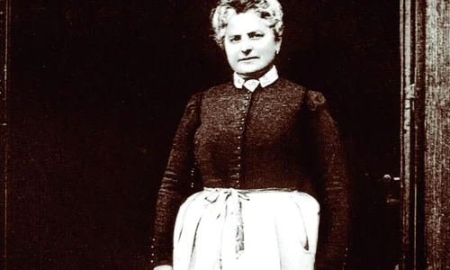 Un Napoleon al omletei jpeg