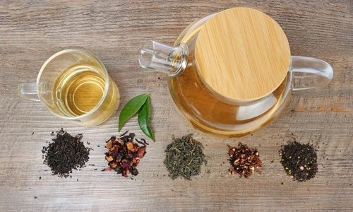 shutterstock 2322448153 jpg