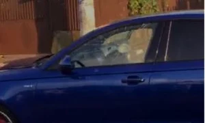 Geamurile mașinii au fost sparte de gloanțe, care au căzut apoi pe caldarâm jpeg