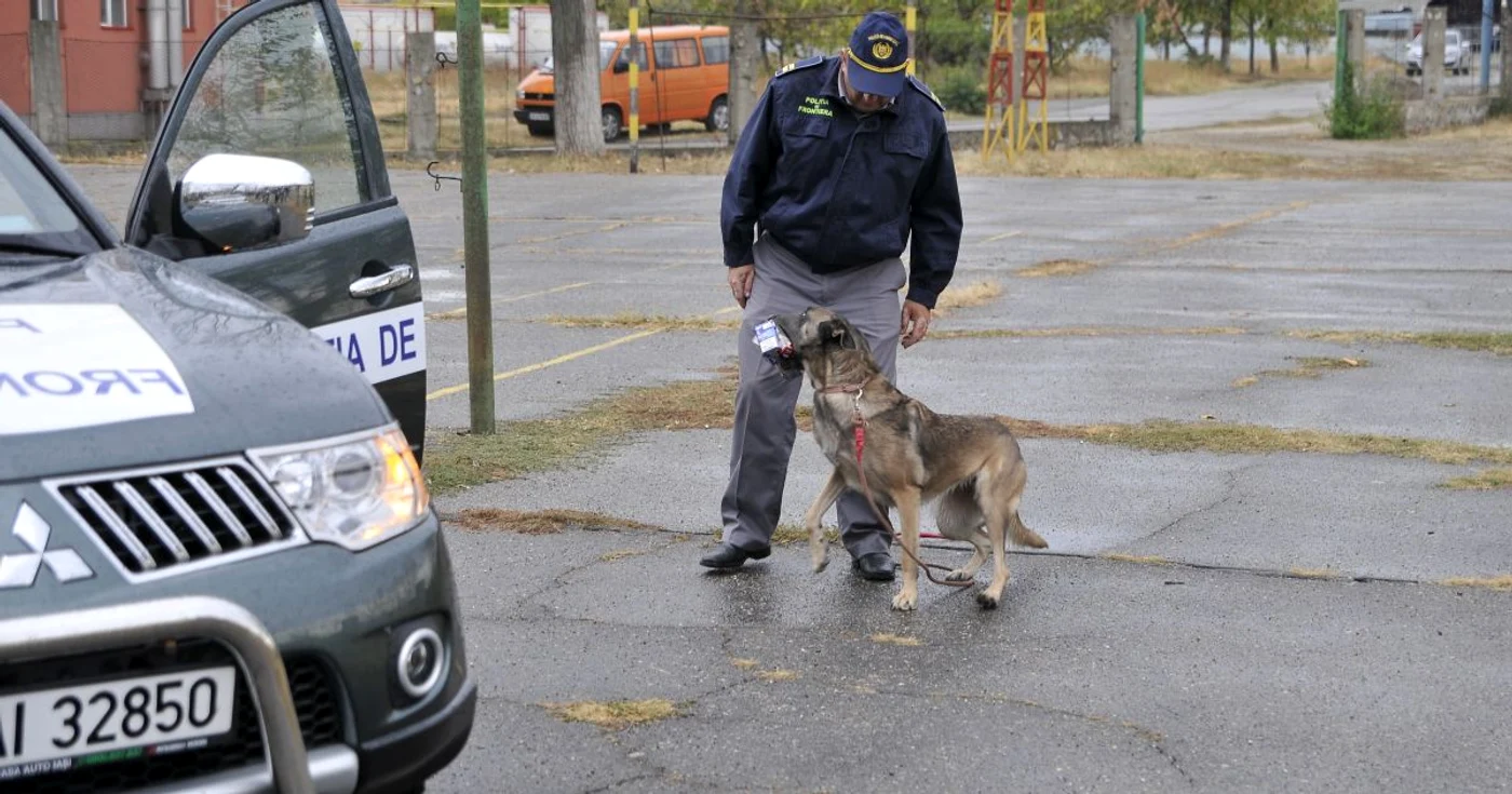 Rocky, câinele care a "mirosit" 8000 de pachete de ţigări ascunse