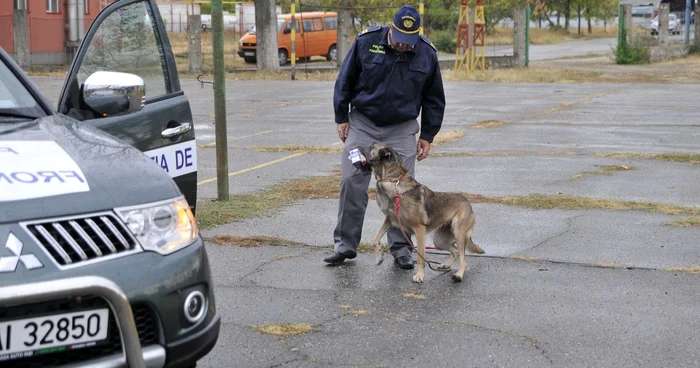 Rocky, câinele care a "mirosit" 8000 de pachete de ţigări ascunse