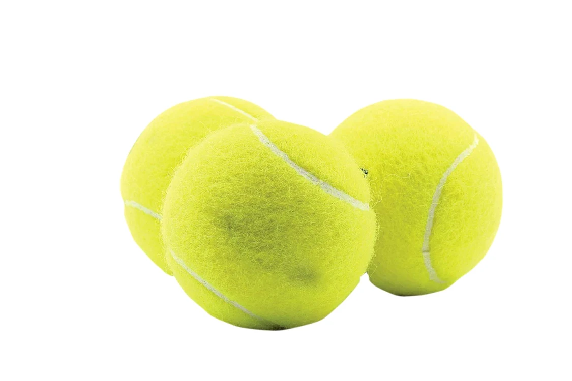 
    Foto: Shutterstock  