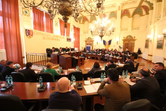 Consilierii judeţeni au aprobat intrarea în lichidare a societăţii. FOTO: Daniel Guţă. ADEVĂRUL.