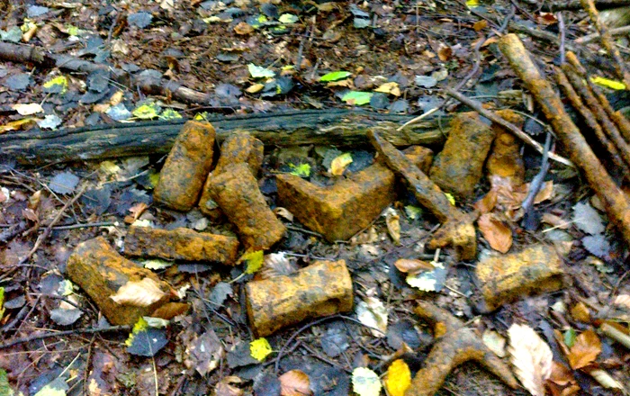 Unelte dacice abandonate în pădure. Foto: IJJ Hunedoara