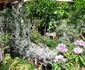 expo-flora slatina