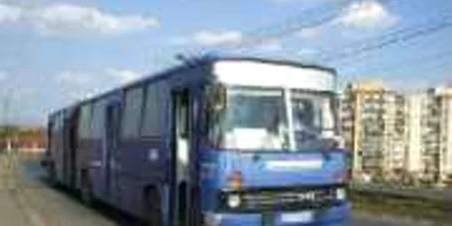 Bacău: S-a majorat taxa pentru eliberarea licenței de transport