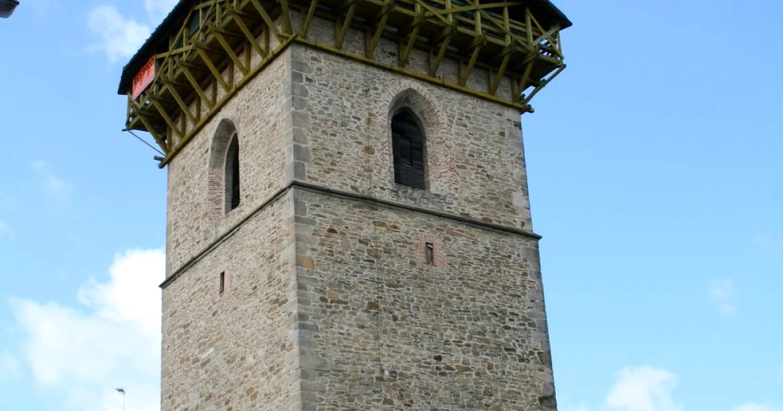 Turnul lui Lapuseanul