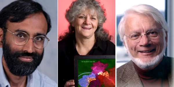Laureaţii premiului Nobel pentru Chimie au fost desemnaţi