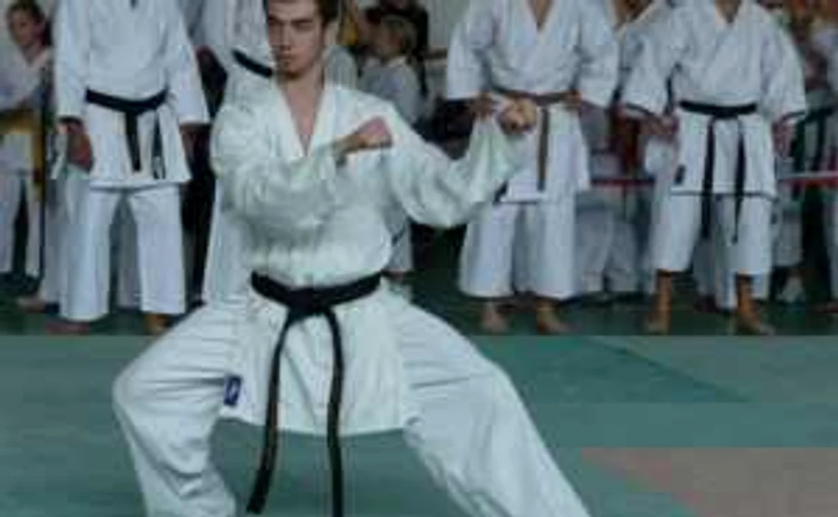 Alexandru Mihai și-a dovedit valoarea și la Europenele de karate Wado Ryu