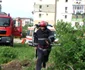 A murit după ce a vrut să scoată un copac din rădăcini