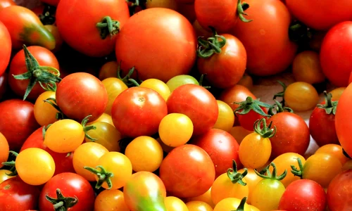 1 tomatoes tomato harvest healthy food 162830 jpg jpeg