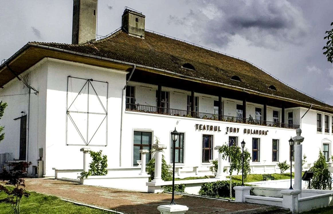 Banii economisiţi de la CSM Târgovişte (14 miliarde), Teatrul Municipal (10 miliarde), Poliţia Locală (2 miliarde) şi alte proiecte au fost direcţionaţi spre Complexul de Nataţie şi drumuri