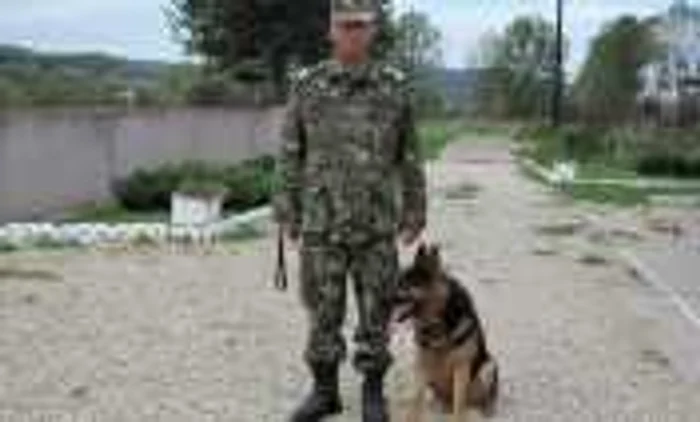 Marius Răguşitu