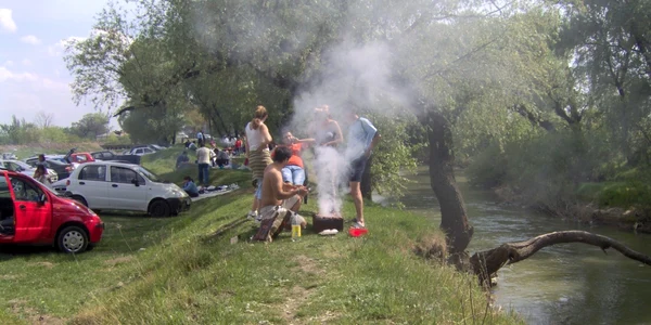 Ieşirea la iarbă verde vă poate costa