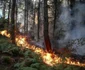 turcia afectată de incendii. FOTO EPA-EFE