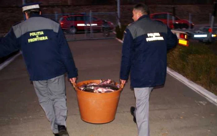 Poliţiştii de frontieră au confiscat peste 100 kg de peşte fără acte FOTO Corina Macavei