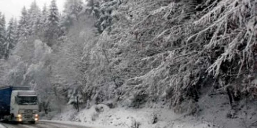 Maramureş: O maşină de transport valori a fost atacată în Pasul Gutâi