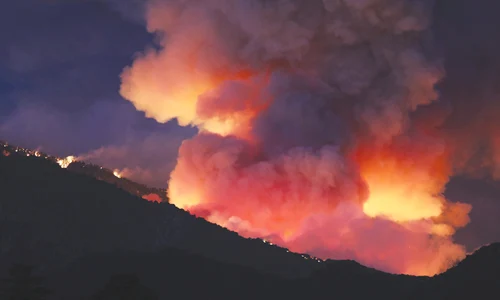 baza incendii sua jpeg