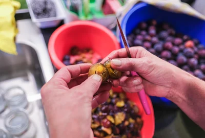 Prune foto shutterstock