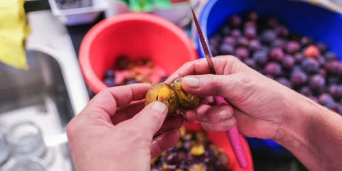 Prune foto shutterstock