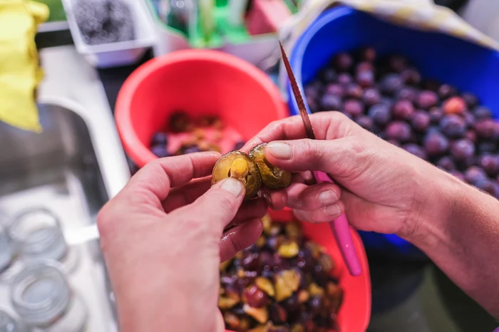 Prune foto shutterstock
